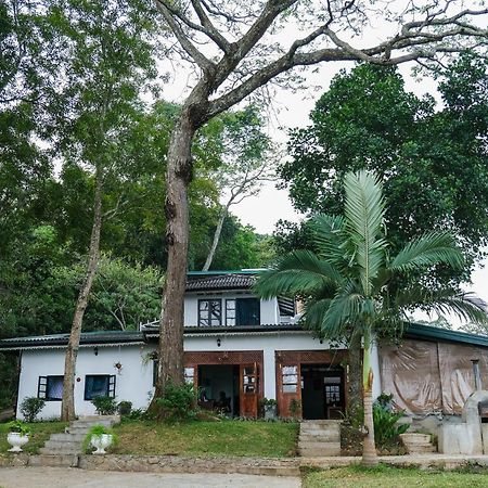 Welikande Yoga Retreats Hotel Digana Kültér fotó
