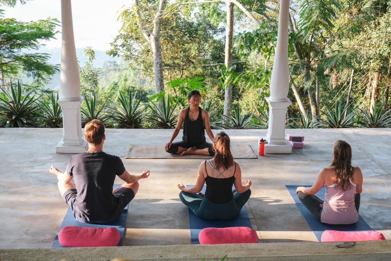 Welikande Yoga Retreats Hotel Digana Kültér fotó