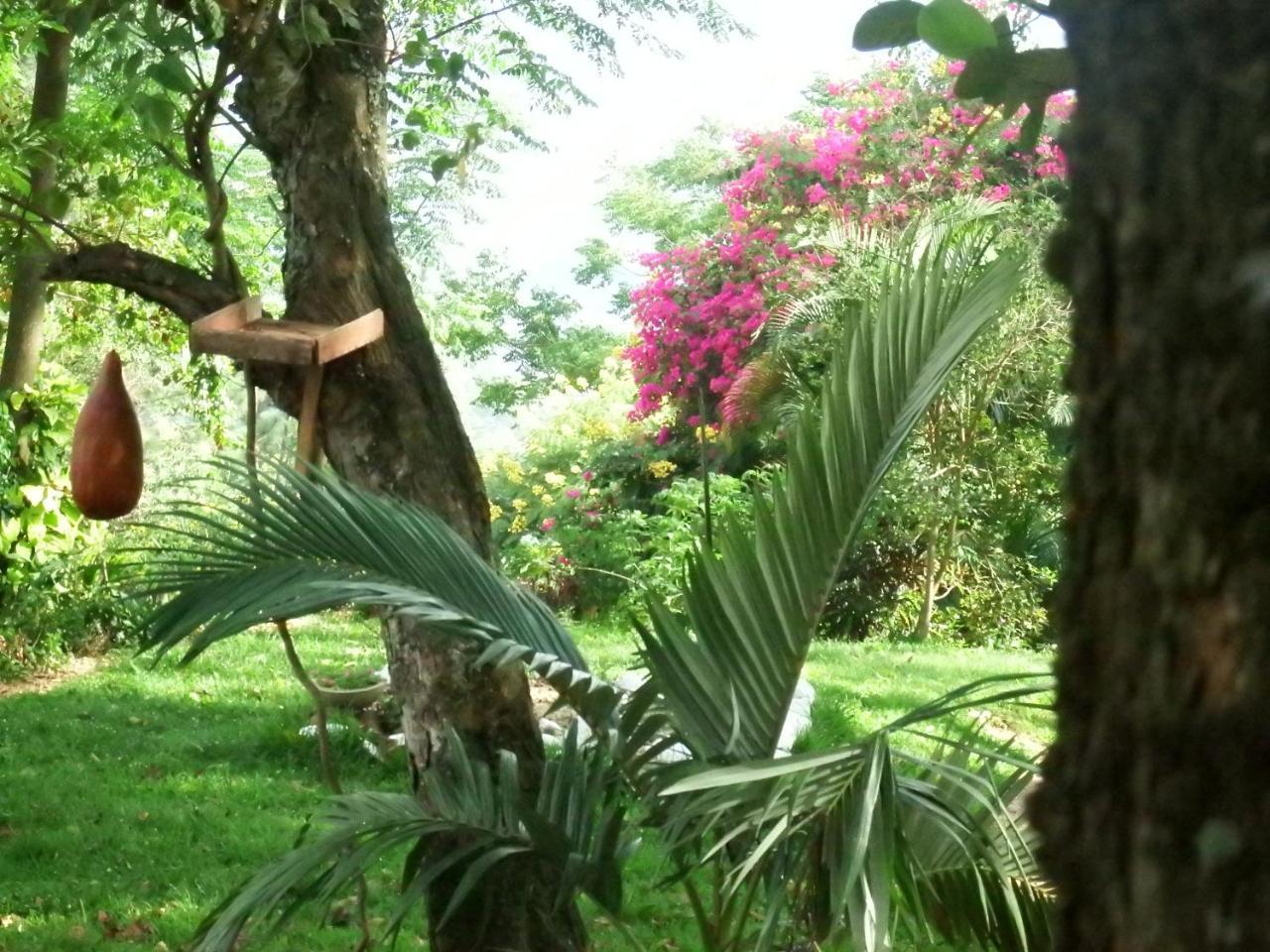 Welikande Yoga Retreats Hotel Digana Kültér fotó